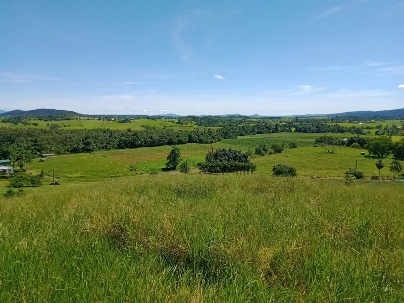 151 acres on Mena Creek Road