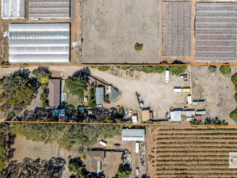 2 HOMES & FAMILY FUN ON A HECTARE OF LAND