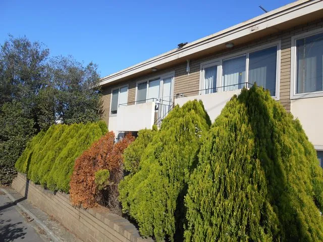 The best location you could ask for 