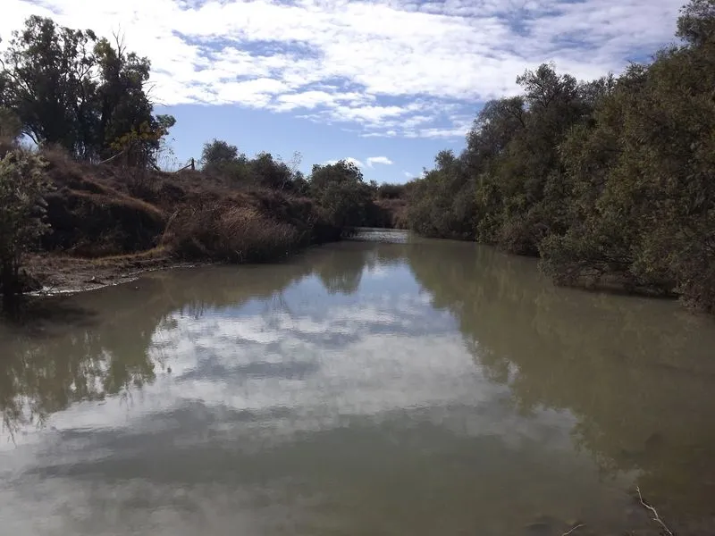 Outstanding Rural Subdivision on Warialda's Doorstep