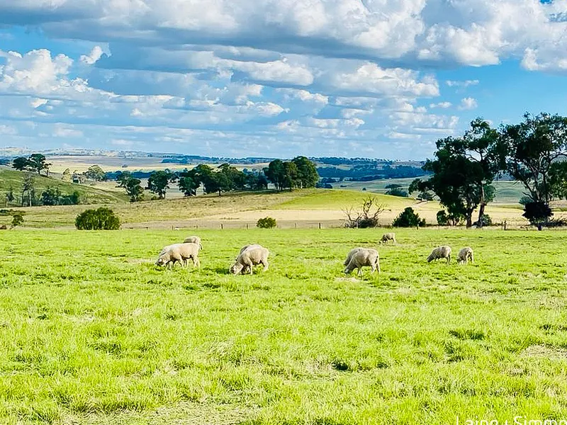 Dream Views Ready To Be Framed By Your Dream House