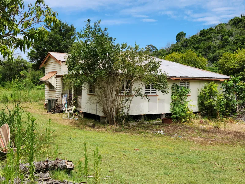 257.2 acres of Scrub Mountain cattle grazing country.