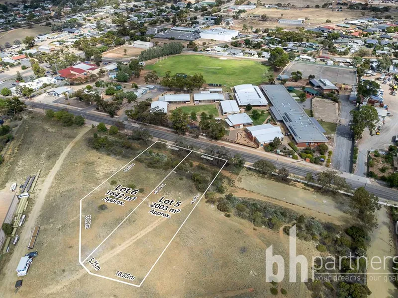 New Release Large Family Size Building Allotments