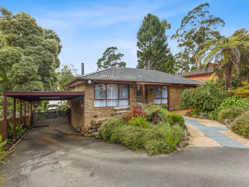 Peace and quiet surrounded by nature!