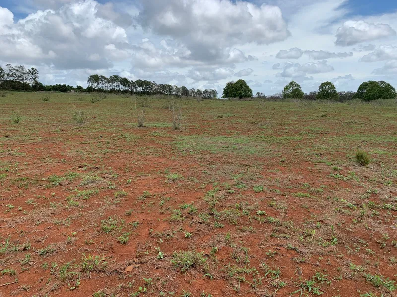 RED SOIL - EX CANE FARM - 128 HA