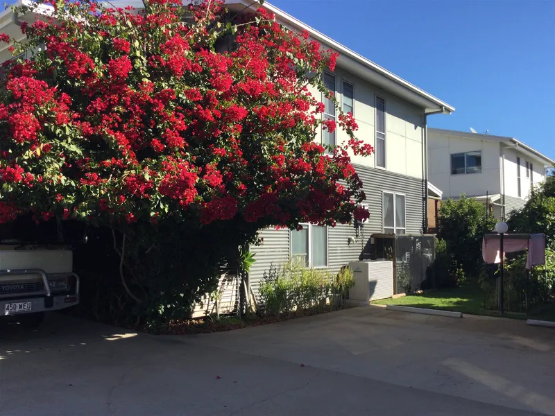 Introducing a fantastic investment opportunity!