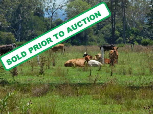125 ACRES - TATHAM