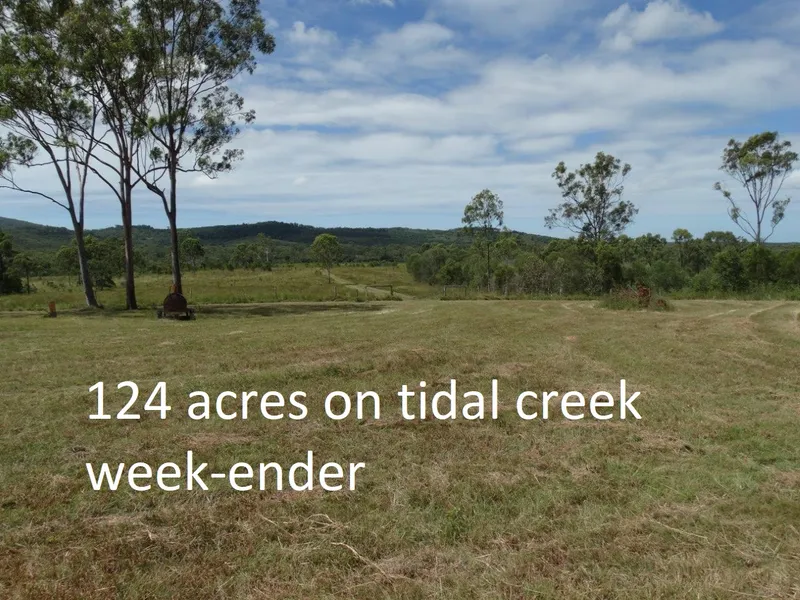 123.5 ACRES ON A TIDAL CREEK - WITH A WEEK-ENDER