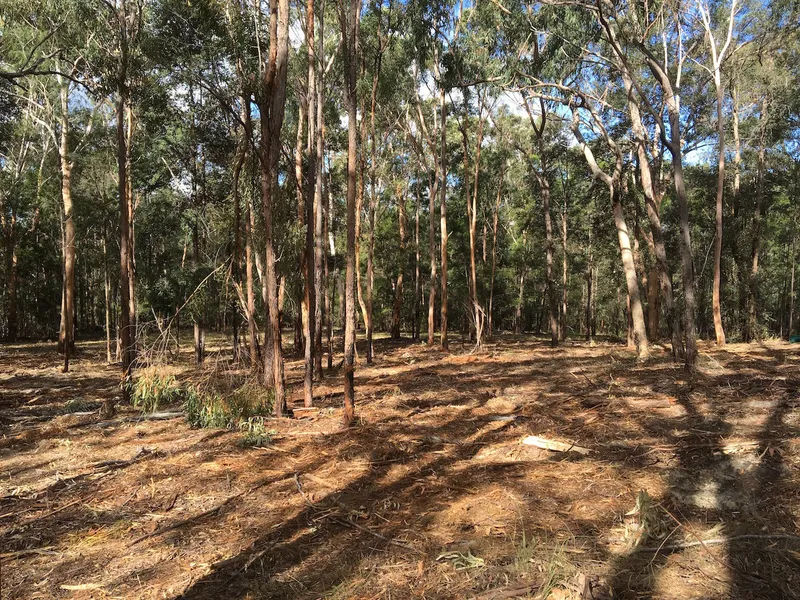 RARE FIND WITH GREAT POTENTIAL - 58 ACRES