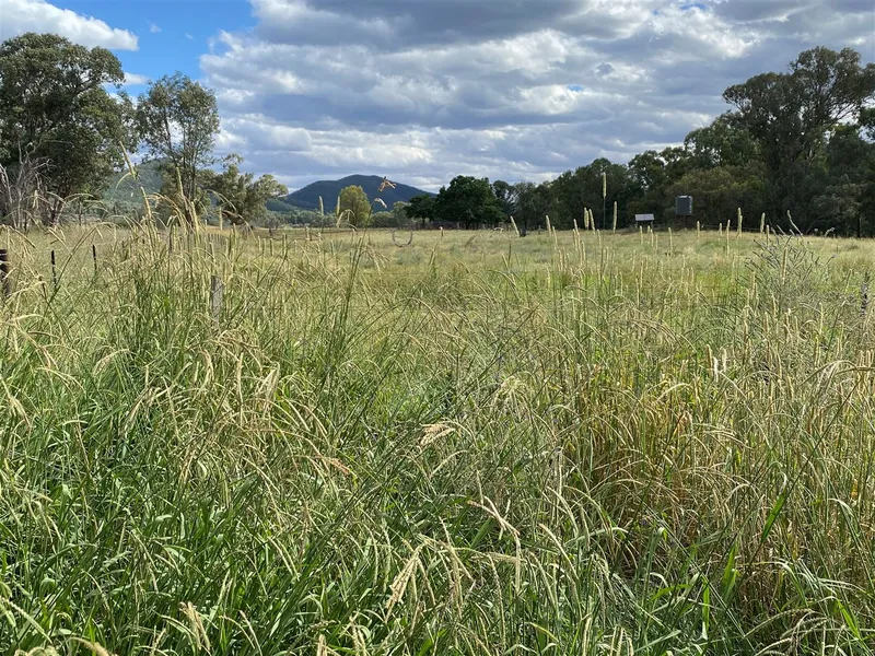 Creek frontage close to Cowra with a Bore
