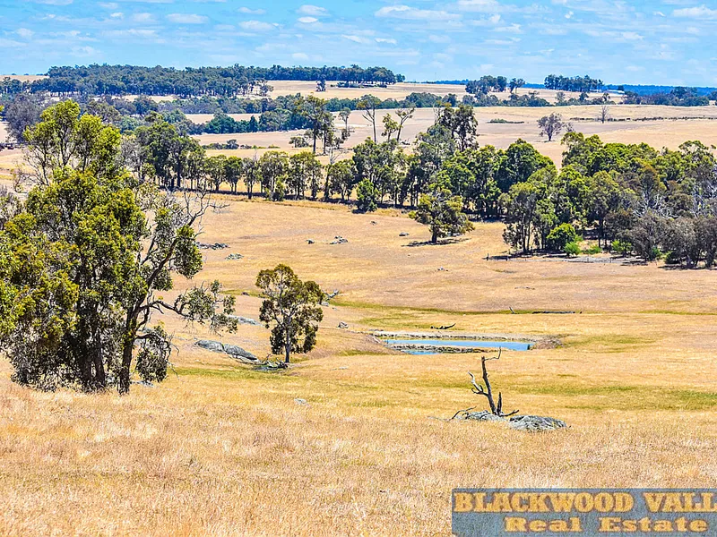 Wonderful grazing property