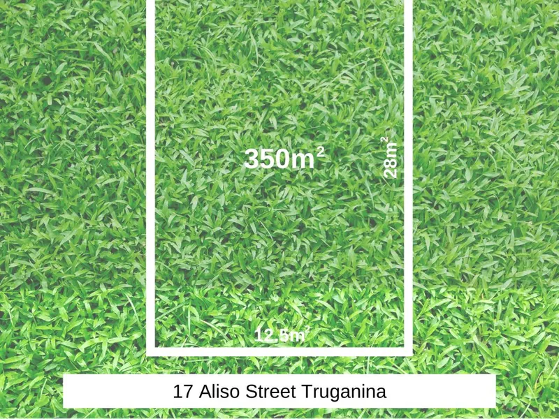 Your Dream Home Begins Here!