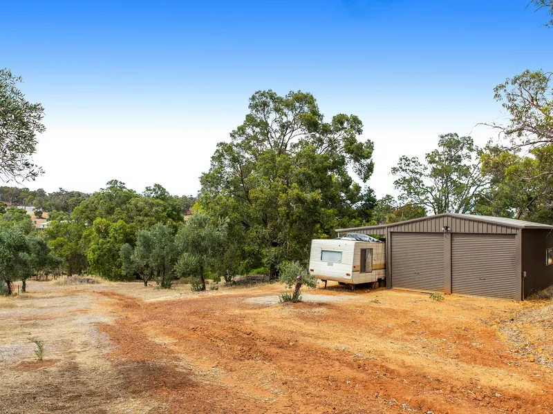 “Tree Change Time“