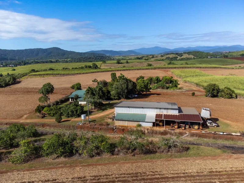 Fully Operational Cane Farm with irrigation license
