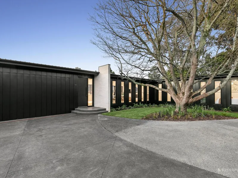 An elite family experience.