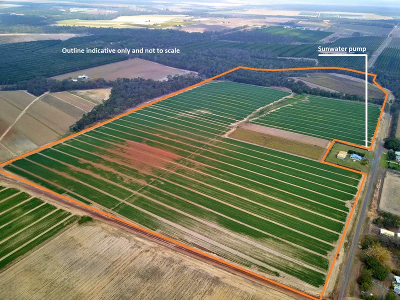 Calling All Macadamia Farmers - 37HA Alloway Qld