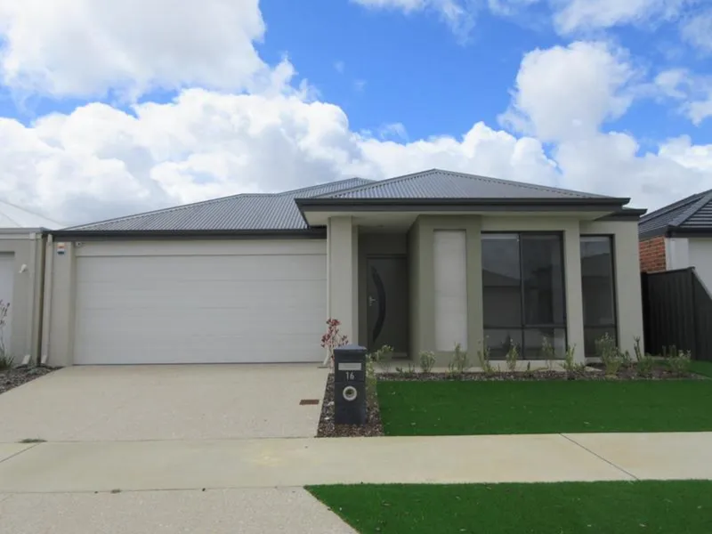 Immaculate & Spacious Family Home - Available Mid November - Register your Interest Now