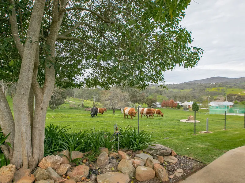 67 Acre Paradise Just 7kms From Albury CBD