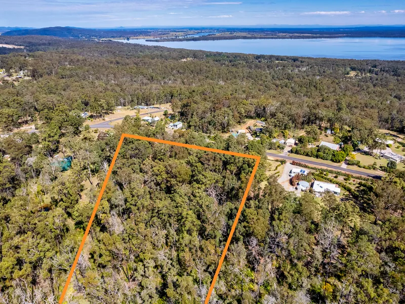 Nature's Paradise - Ashby Heights