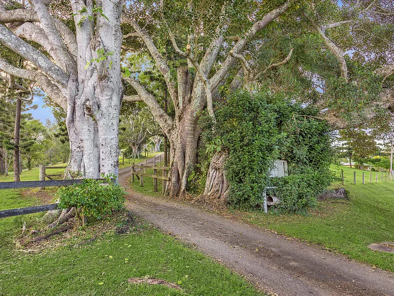 Private Elevated Block for Sale