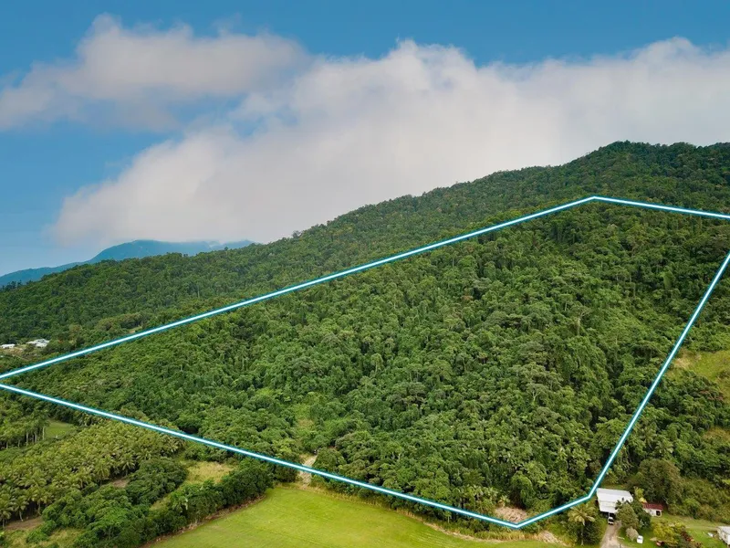 Rainforest Lifestyle - Tropical Paradise