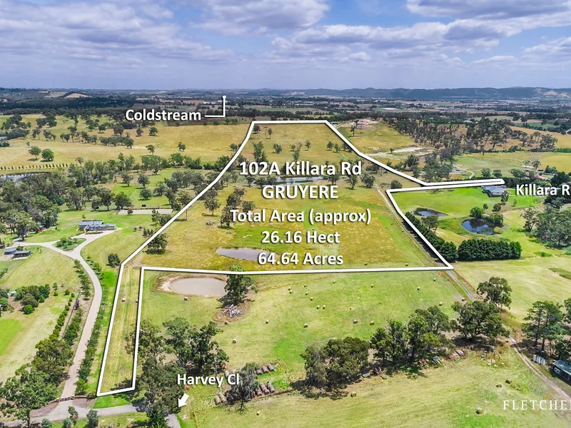 64 acres with gasp views! Inspections available by appointment