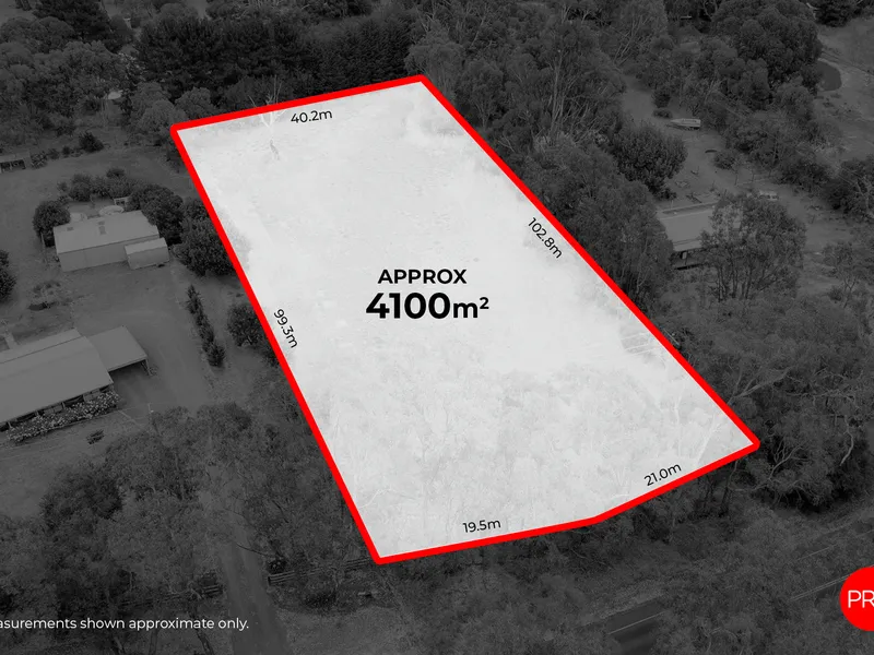 The luxury of country living on a huge block