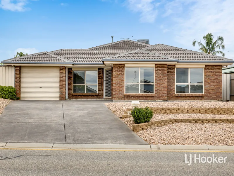 Where Dreams Come True