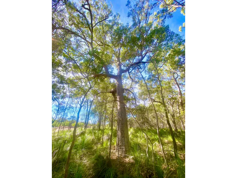 New Industrial Land Release - 2.5 Acres Now Available!