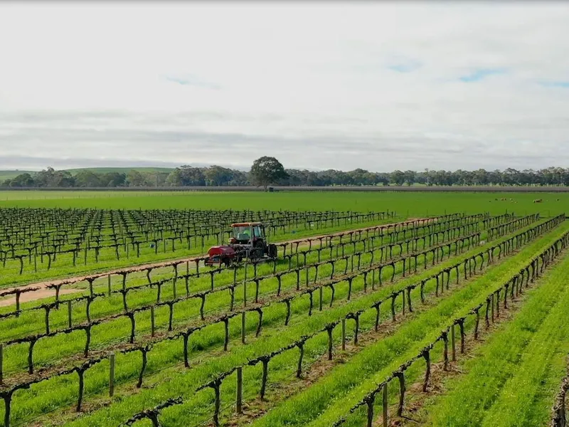 Premium Barossa Valley Lifestyle Opportunity