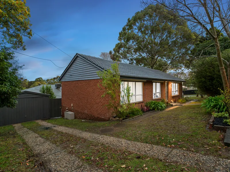 Updated family entertainer on leafy corner allotment