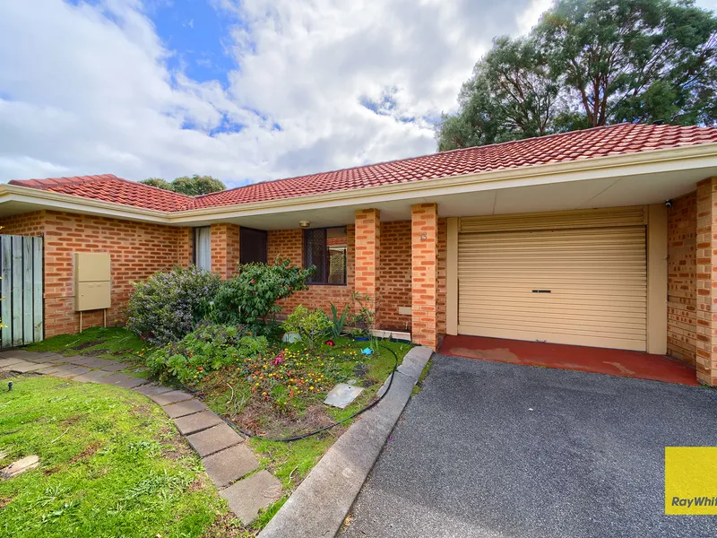 Over 55's Opportunity