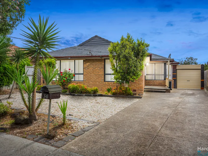 Packed With Potential