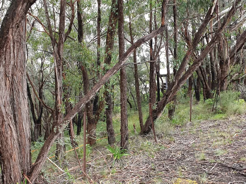 LAND WITH DA APPROVED PLANS