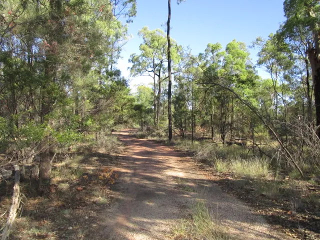 2 DAMS AND PARTIAL OLD FENCING