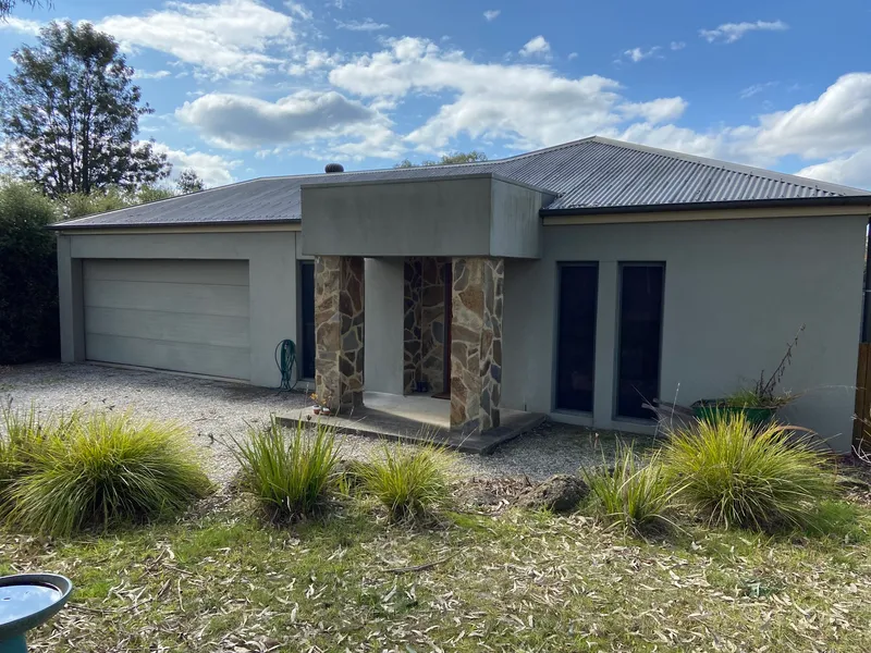 Family Friendly Entertainer