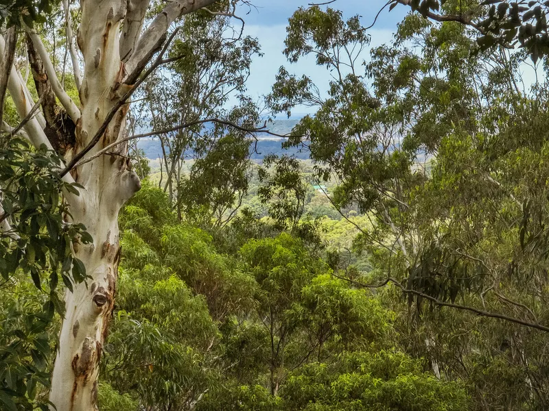 We have three options for you...Keep reading!