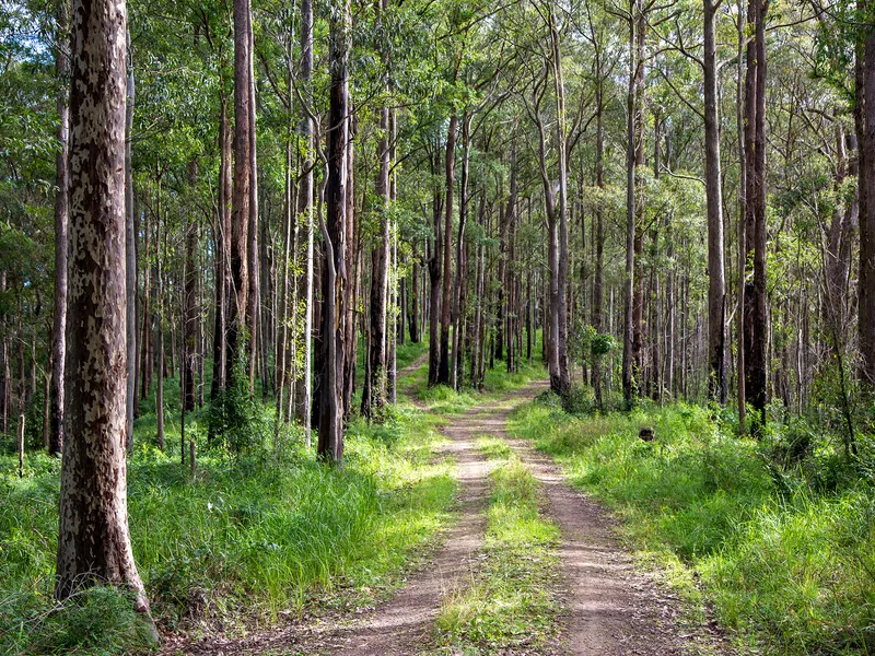 PRIVATELY OWNED FOREST WITH NATURAL RESOURCES & ECOLOGICAL SIGNIFICANCE