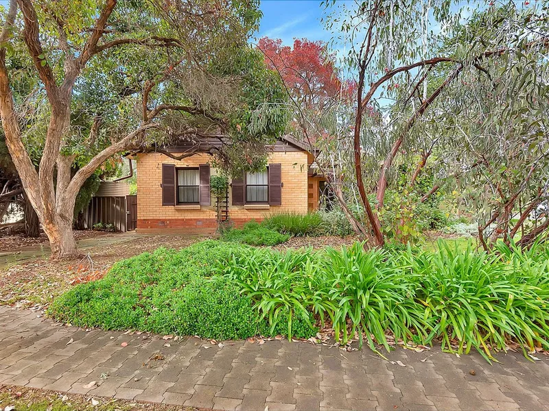 This one is ready for you...