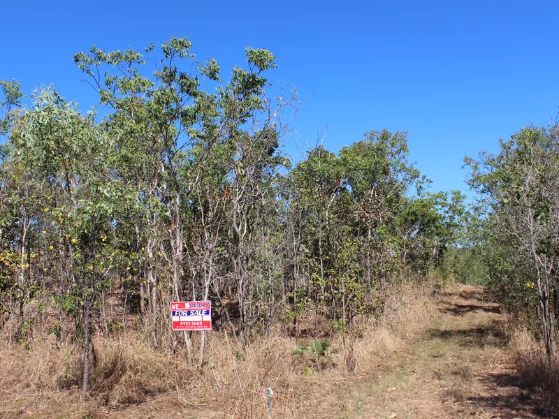 20 acres virgin bush block