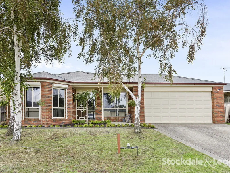 Brilliant home with space for the whole family