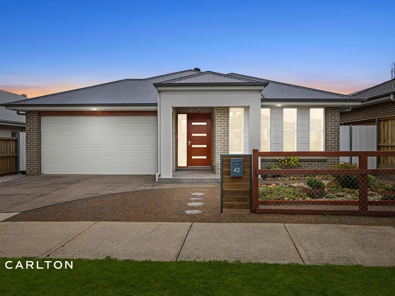 ALL THE CREATURE COMFORTS