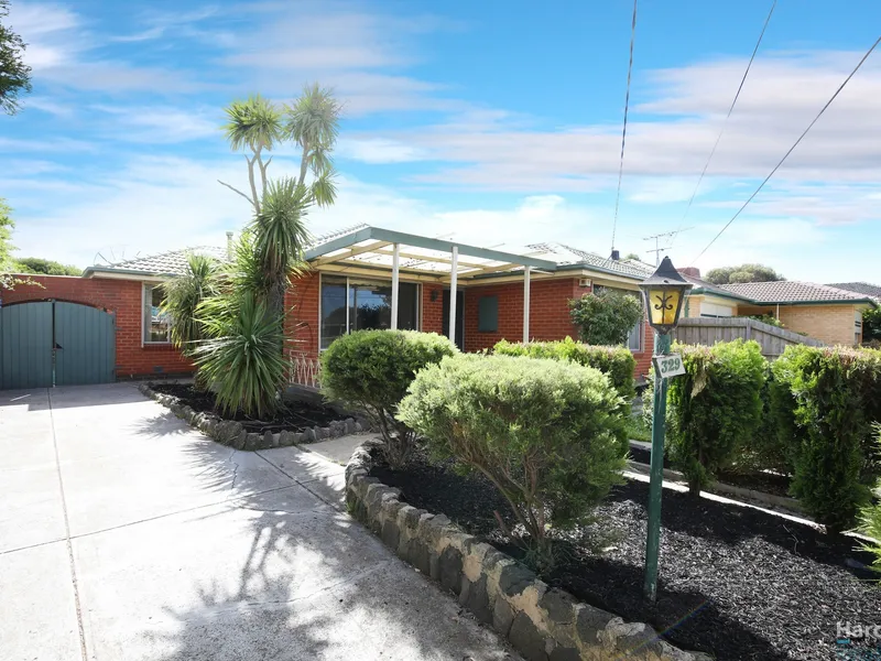 Family Home in the perfect location!