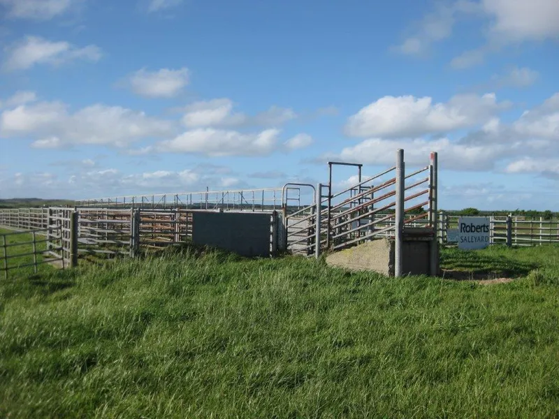 King Island Saleyards