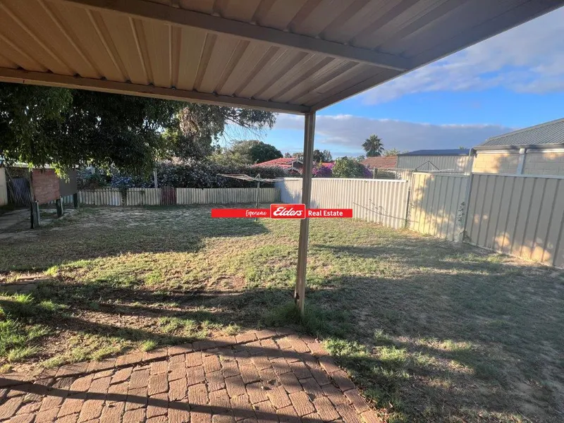 Three Bedroom One Bathroom With A Large Backyard