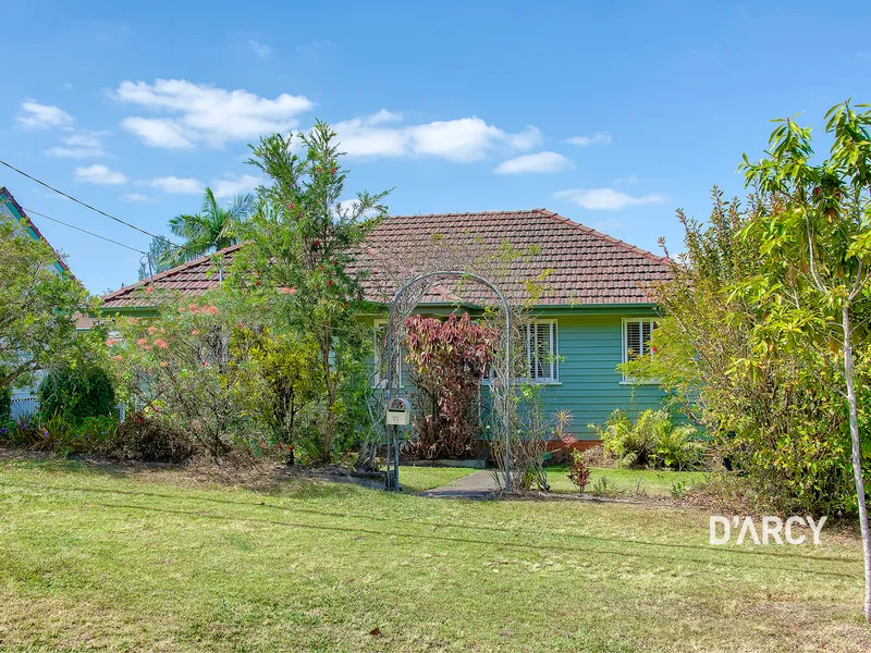 Original Dorrington Darling