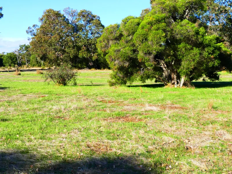 100 acre Lifestyle Farm with Income