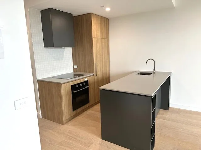 BRAND NEW ONE BEDROOM APARTMENT