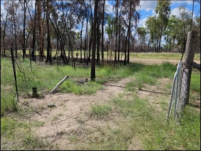 TOTAL Let it Be, Fencing, Electricity, Clearing, 18.31 ac (7.41ha),