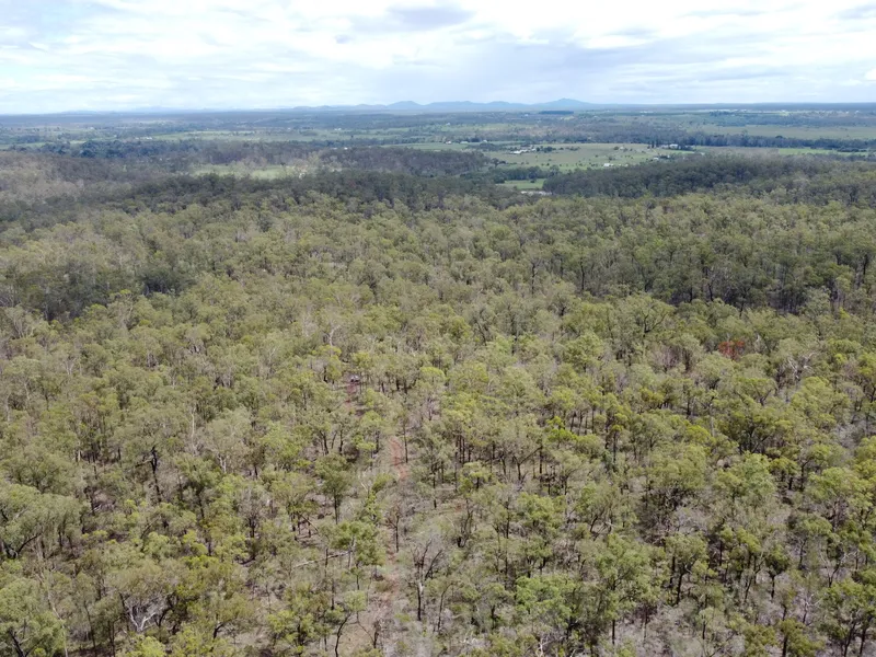 PRICE REDUCTION! 160 Acres Of Your Own Private Forest